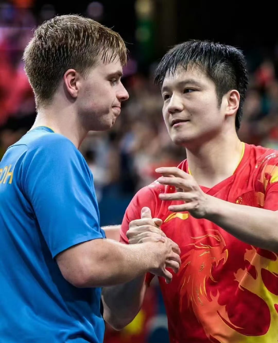 中国乒乓球队绝杀波兰乒乓球队，波尔制霸全场的简单介绍