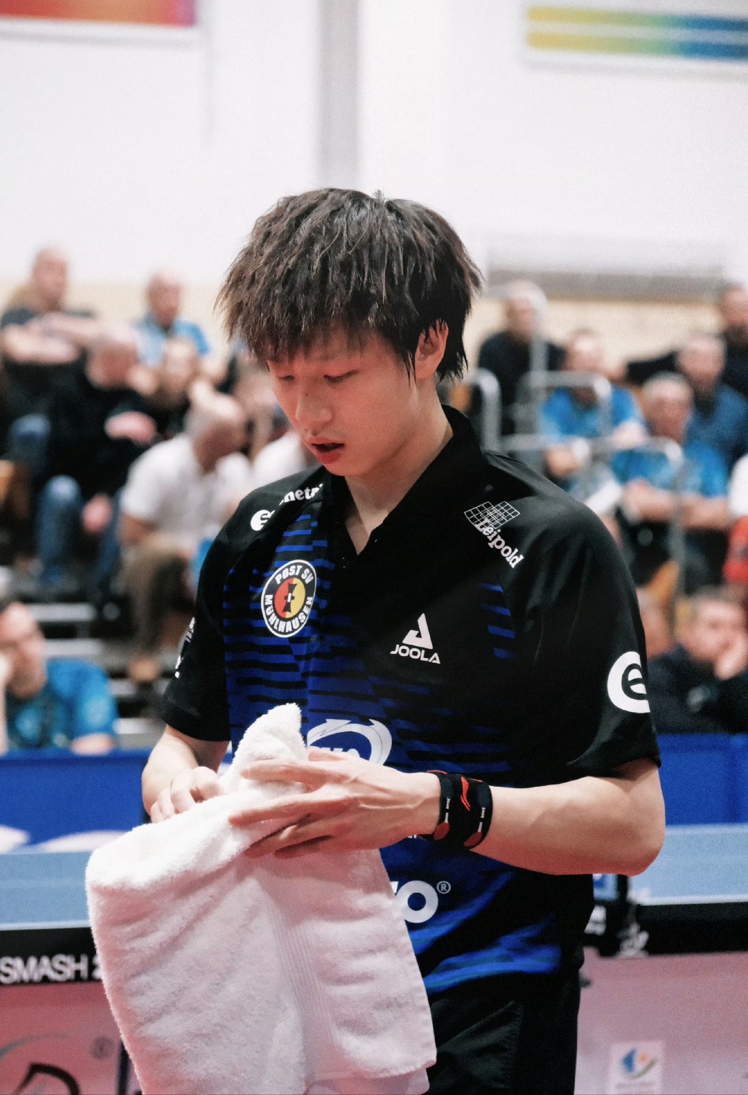 日本队轻取瑞典队，林高远高光表现的简单介绍