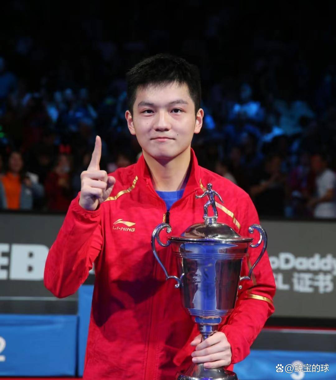 PG电子试玩官网-日本队完胜奥地利队，樊振东状态火热