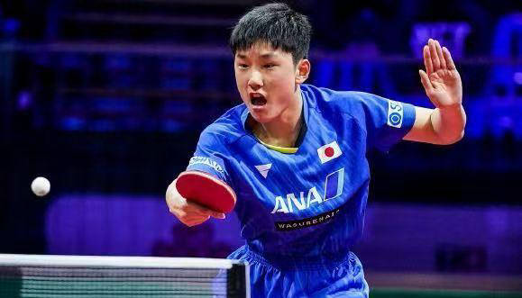 PG电子娱乐官网下载-法国队横扫德国队，张本智和点燃赛场