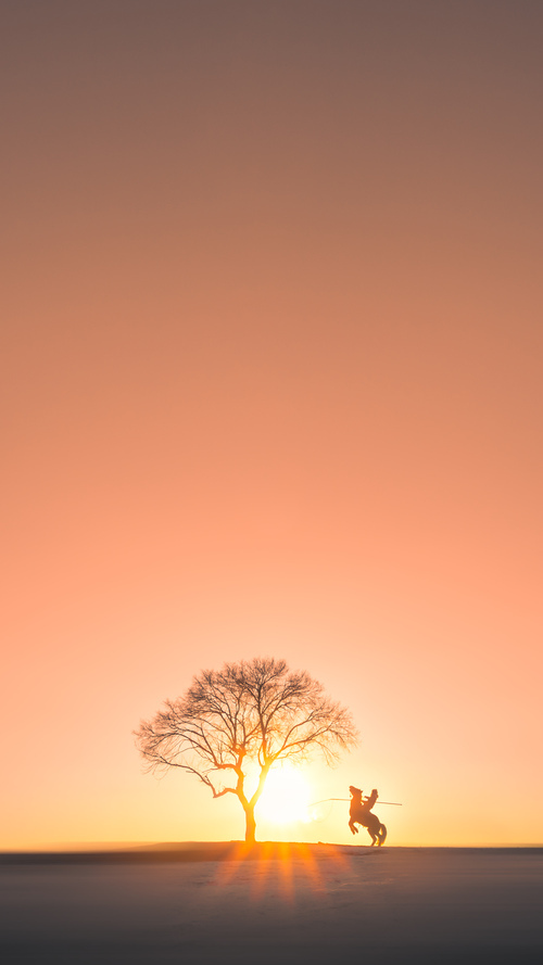 永恒之城的不朽逆袭，罗马逆转爱尔兰，年度焦点之战的史诗回响